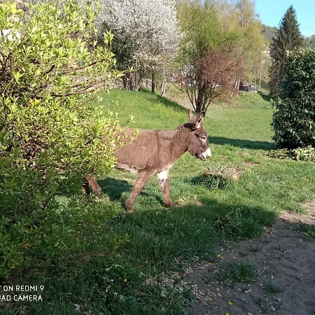 Cascina Vica Biella Andorno Micca
