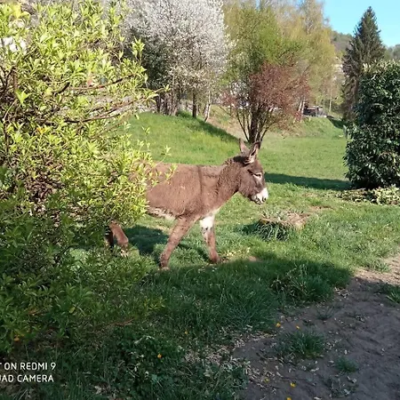 Cascina Vica Biella Andorno Micca