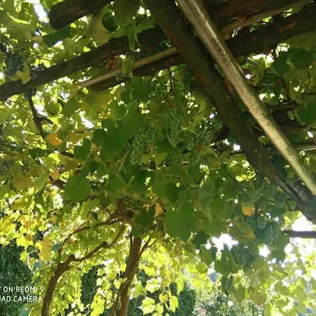 Appartement Cascina Vica Biella *